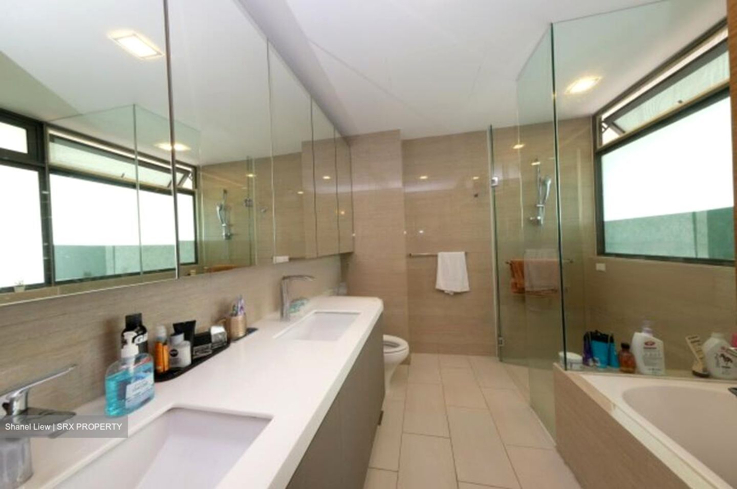 The Topiary (D28), Condominium #445775931